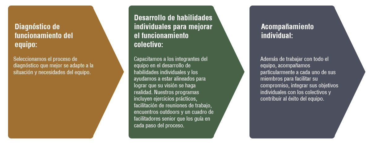 Diagnóstico de funcionamiento del equipo:</p>
<p>Seleccionamos el proceso de diagnóstico que mejor se adapte a la situación y necesidades del equipo</p>
<p>Desarrollo de habilidades individuales para mejorar funcionamiento colectivo</p>
<p>Capacitamos a los integrantes del equipo en el desarrollo de habilidades individuales y los ayudamos a estar alineados para lograr que su visión se haga realidad. Nuestros programas incluyen ejercicios prácticos, facilitación de reuniones de trabajo, encuentros outdoors y un cuadro de facilitadores senior que los guía a cada paso del proceso.</p>
<p>Acompañamiento individual:</p>
<p>Además de trabajar con todo el equipo, acompañamos individualmente con los miembros del equipo para facilitar su compromiso, integrar sus objetivos individuales con los colectivos, mejorar su compromiso y contribuir al éxito del equipo.